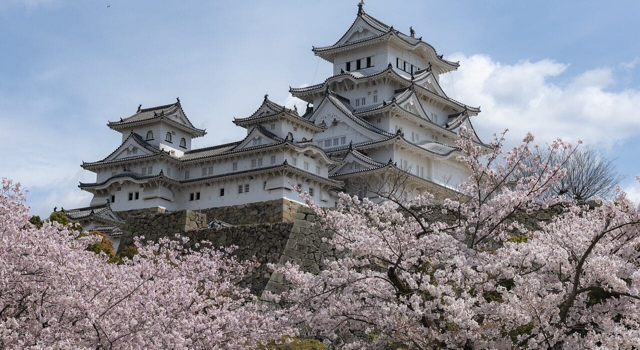 Bunga sakura bermekaran di sekitar otera