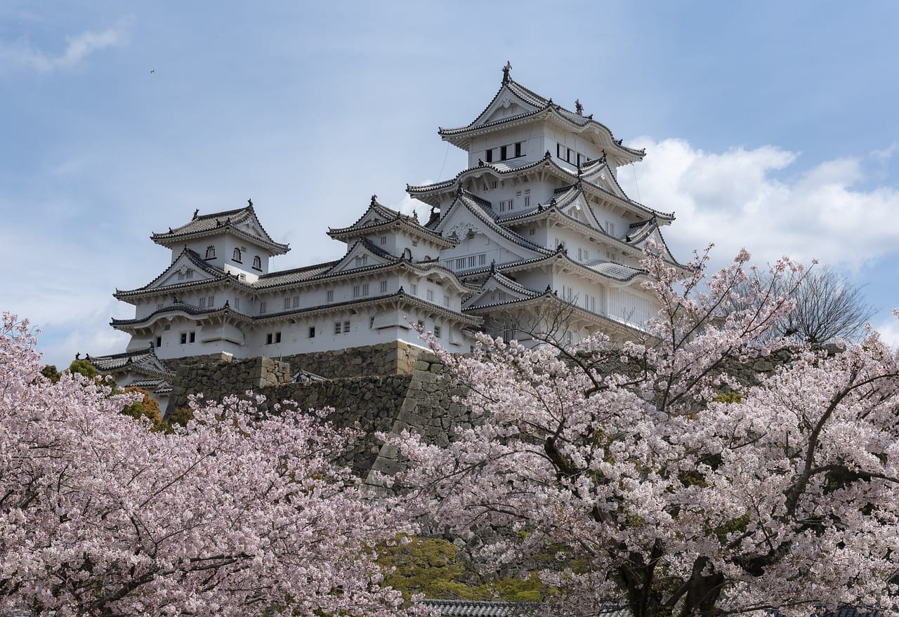 Bunga sakura bermekaran di sekitar otera