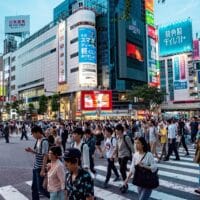 Sumber gambar: https://pixabay.com/id/photos/jepang-bepergian-alam-asia-tanaman-4141578/