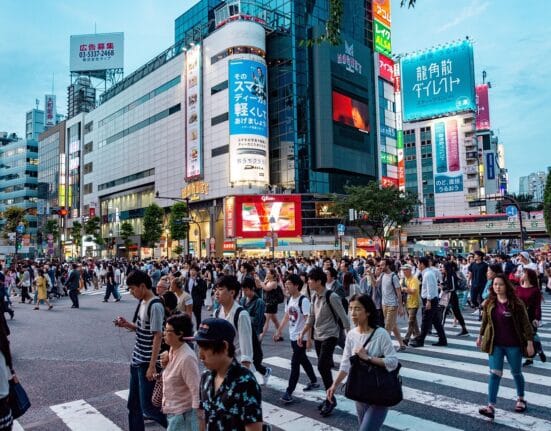 Sumber gambar: https://pixabay.com/id/photos/jepang-bepergian-alam-asia-tanaman-4141578/